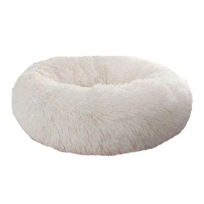 Pet Large Beds