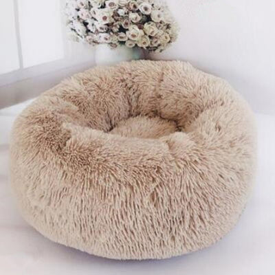 Pet Large Beds