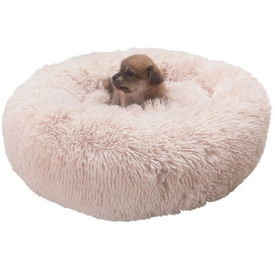 Pet Large Beds