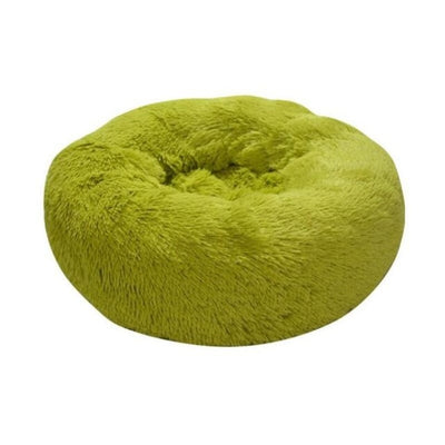 Pet Large Beds